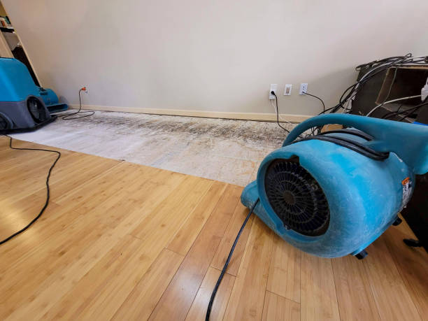 Professional Basement Flood Cleanup technician working in Pillsbury, ND